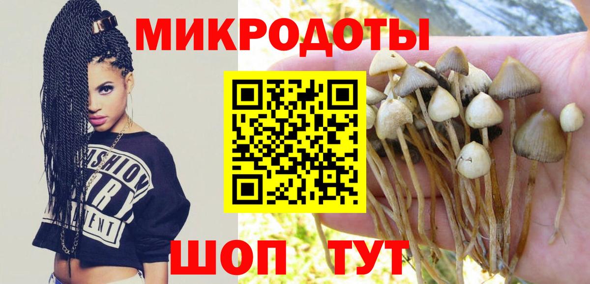 Галлюциногенные грибы мицелий  Псилоцибиновые грибы MAGIC MUSHROOMS  Вход с VPN  Владивосток 